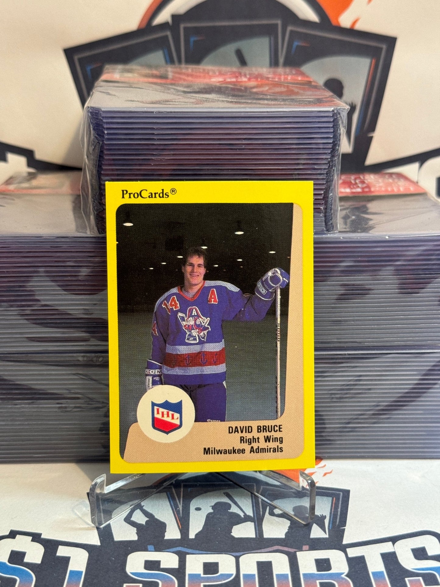 1989 ProCards (IHL) David Bruce #173