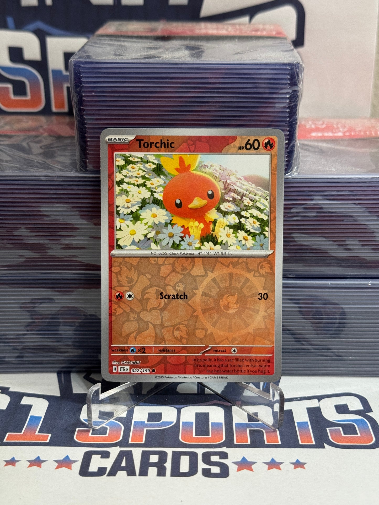 Pokemon TCG: Journey Together - Torchic (Reverse Holo, Common) #22