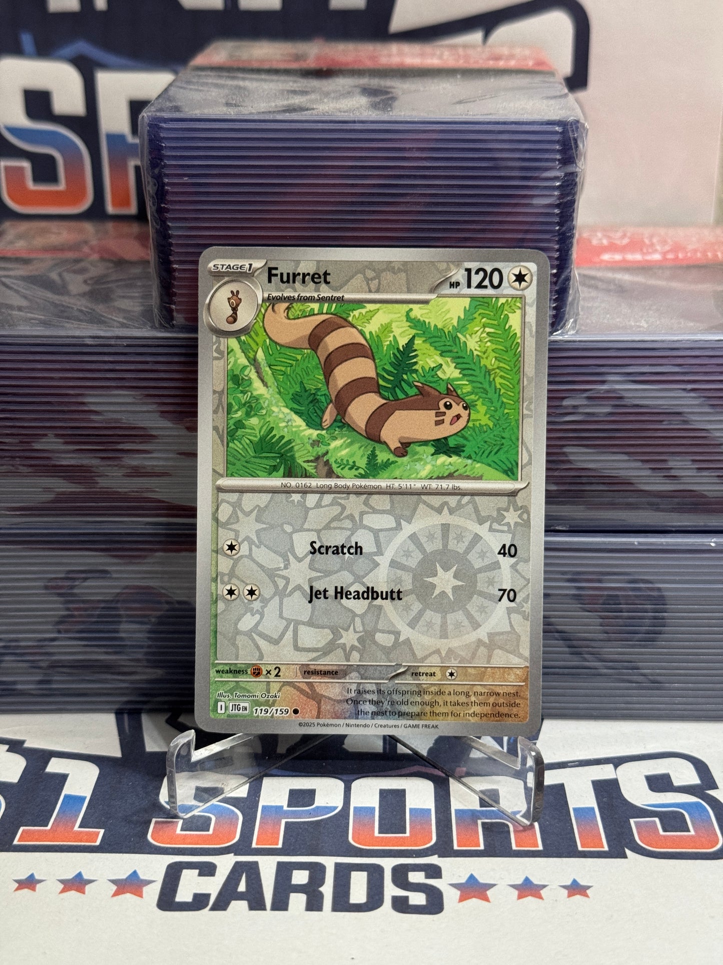 Pokemon TCG: Journey Together - Furret (Reverse Holo, Common) #119
