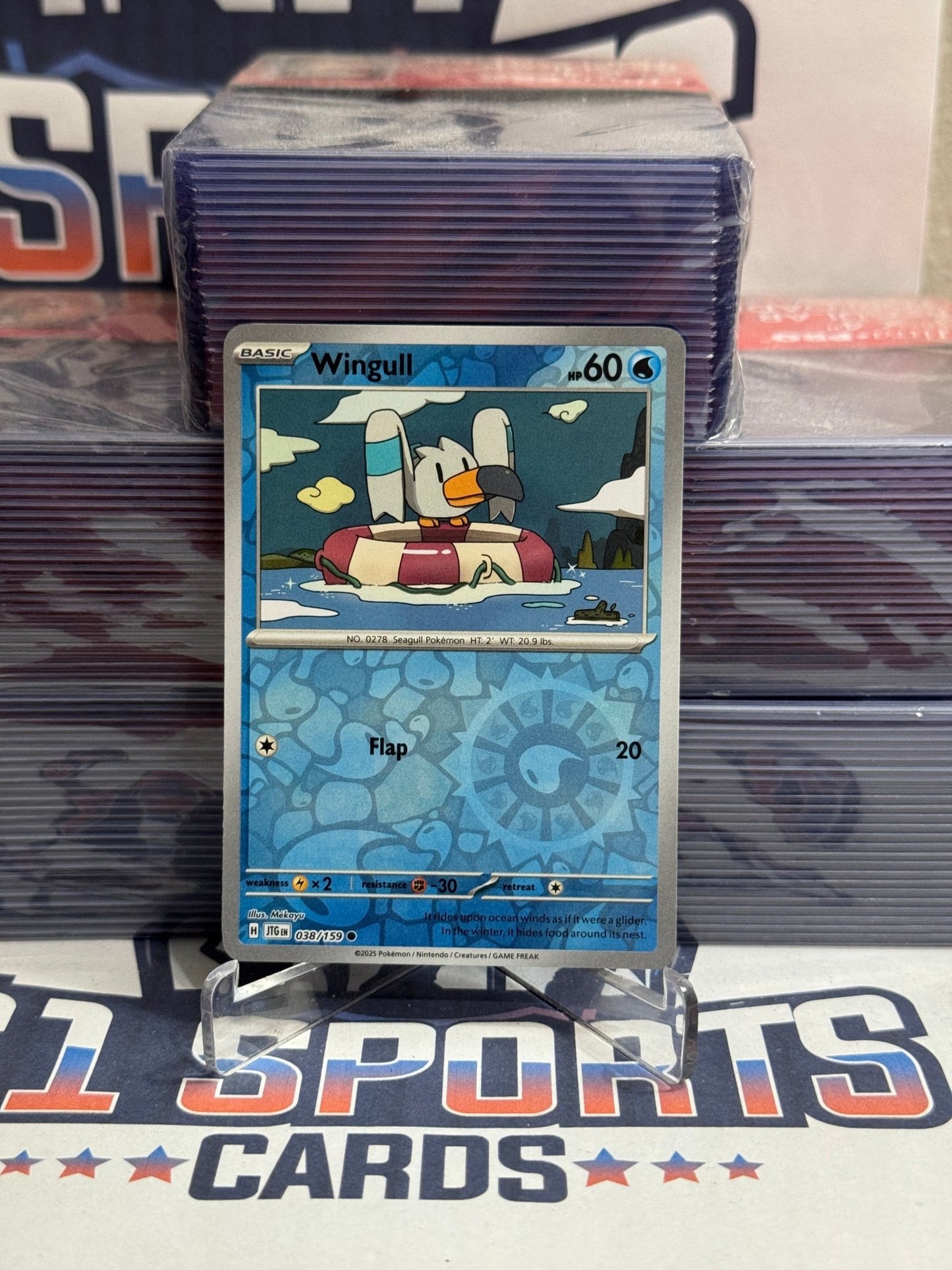 Pokemon TCG: Journey Together - Wingull (Reverse Holo, Common) #38