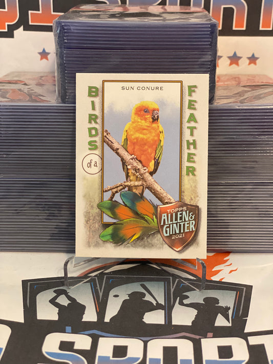 2021 Topps Allen & Ginter (Birds of a Feather) Sun Conure #BOF-2
