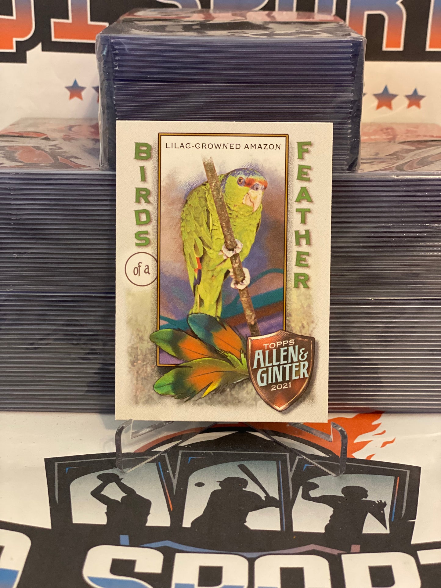 2021 Topps Allen & Ginter (Birds of a Feather) Lilac-Crowned Amazon #BOF-5