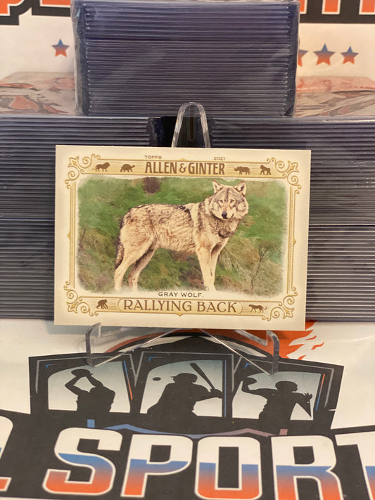2021 Topps Allen & Ginter (Rallying Back) Gray Wolf #RB-1