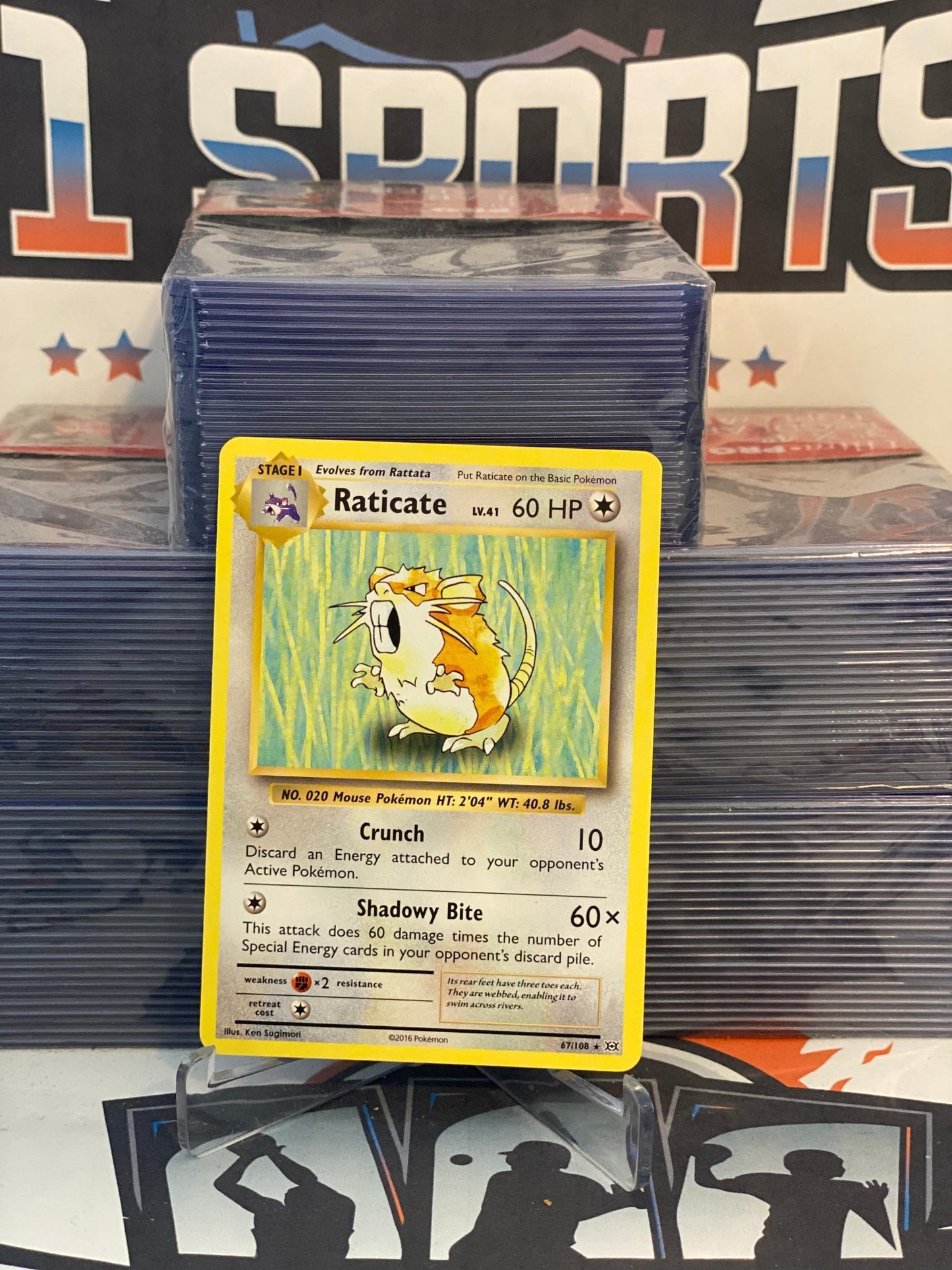 Pokemon TCG: Evolutions - Raticate (Rare) #67