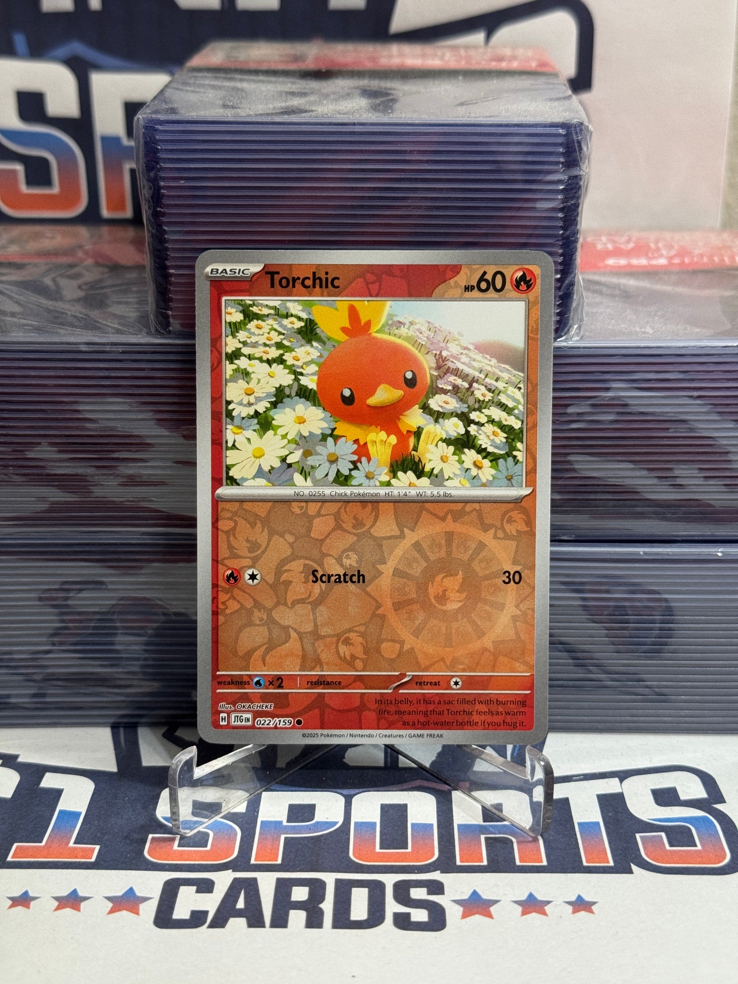 Pokemon TCG: Journey Together - Torchic (Reverse Holo, Common) #22 $1 Sports Cards Pokemon TCG: Journey Together - Torchic (Reverse Holo, Common) #22 $1 Sports Cards