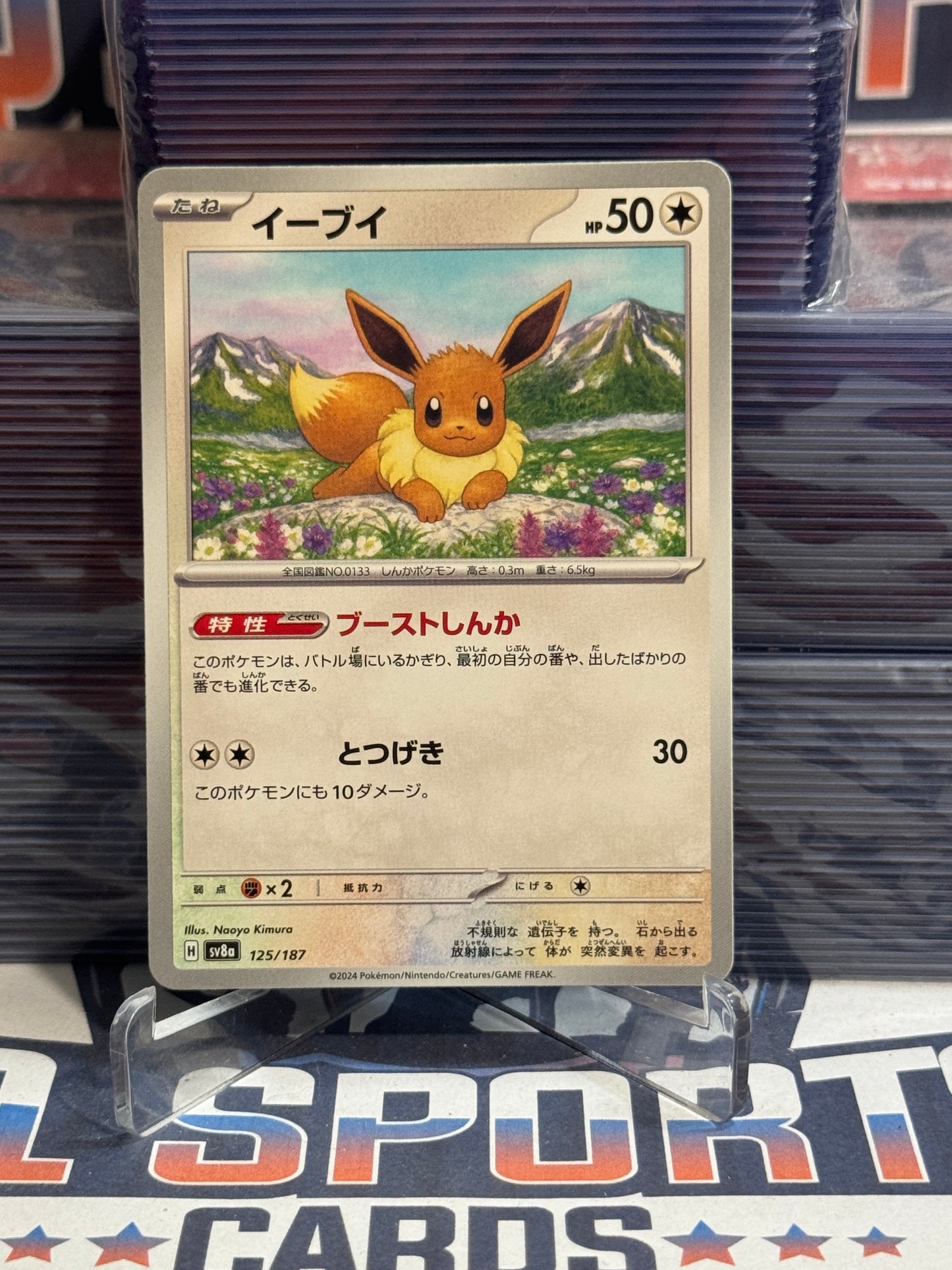 Pokemon TCG: Terastal Festival ex (Japanese) - Eevee (Common) #125