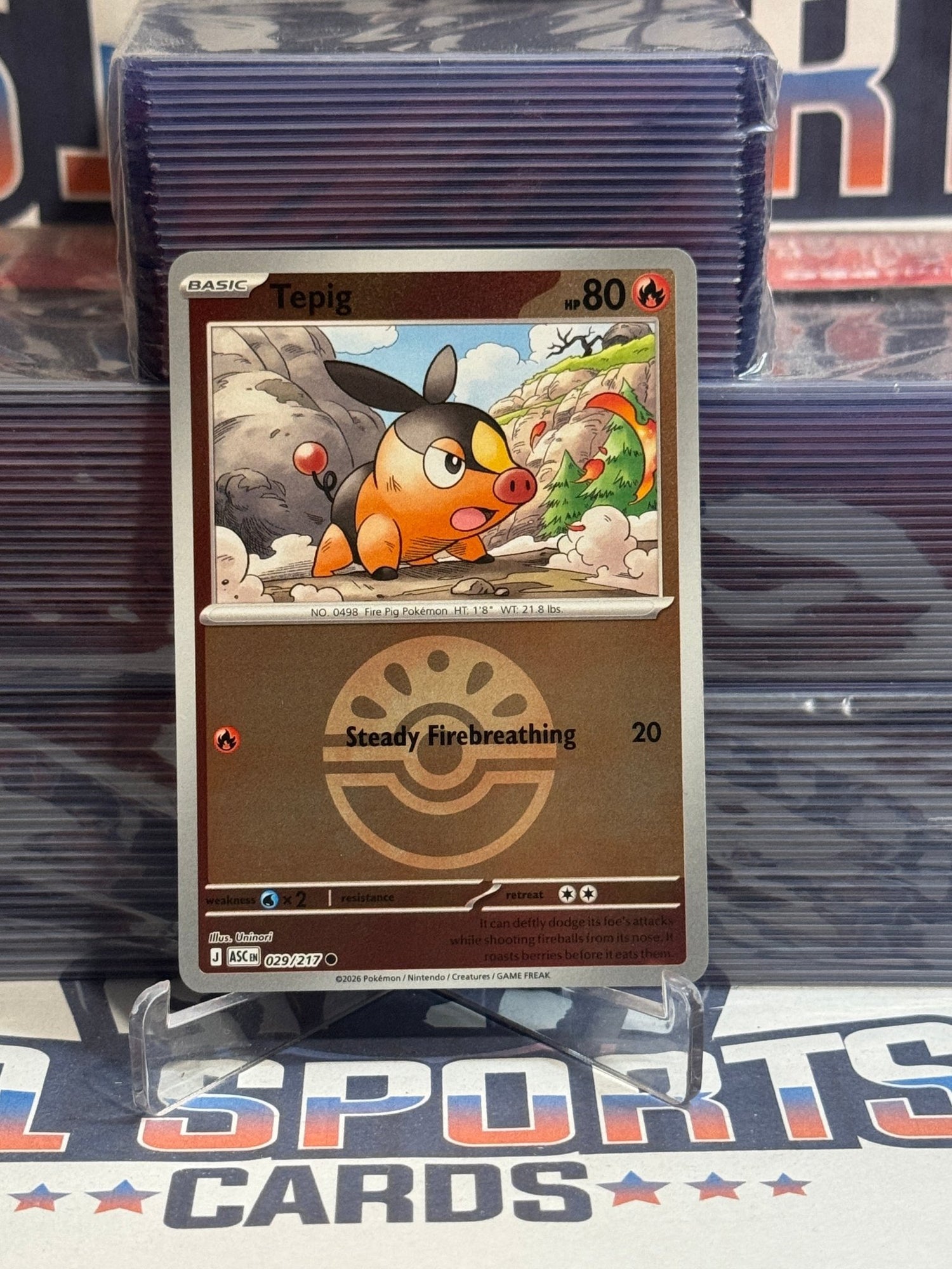 Pokemon TCG: Ascended Heroes - Tepig (Friend Ball Pattern, Reverse Holo, Common) 29