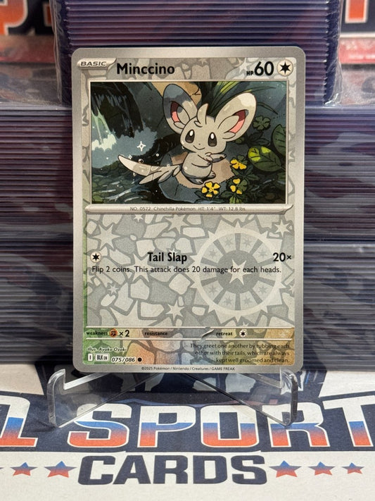 Pokemon TCG: Black & White - Minccino (Reverse Holo, Common) 75