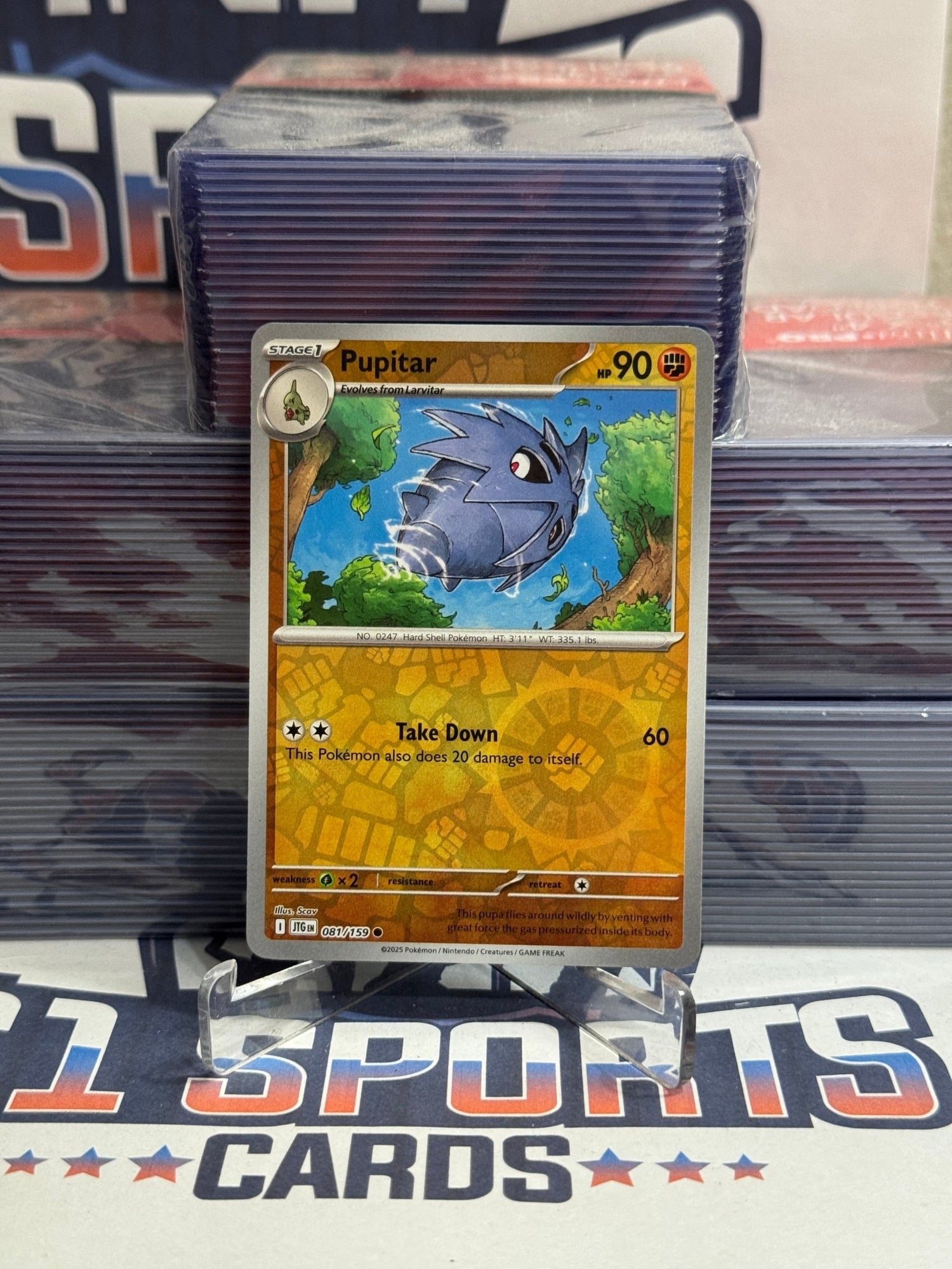 Pokemon TCG: Journey Together - Pupitar (Reverse Holo, Common) #81 $1 Sports Cards Pokemon TCG: Journey Together - Pupitar (Reverse Holo, Common) #81 $1 Sports Cards