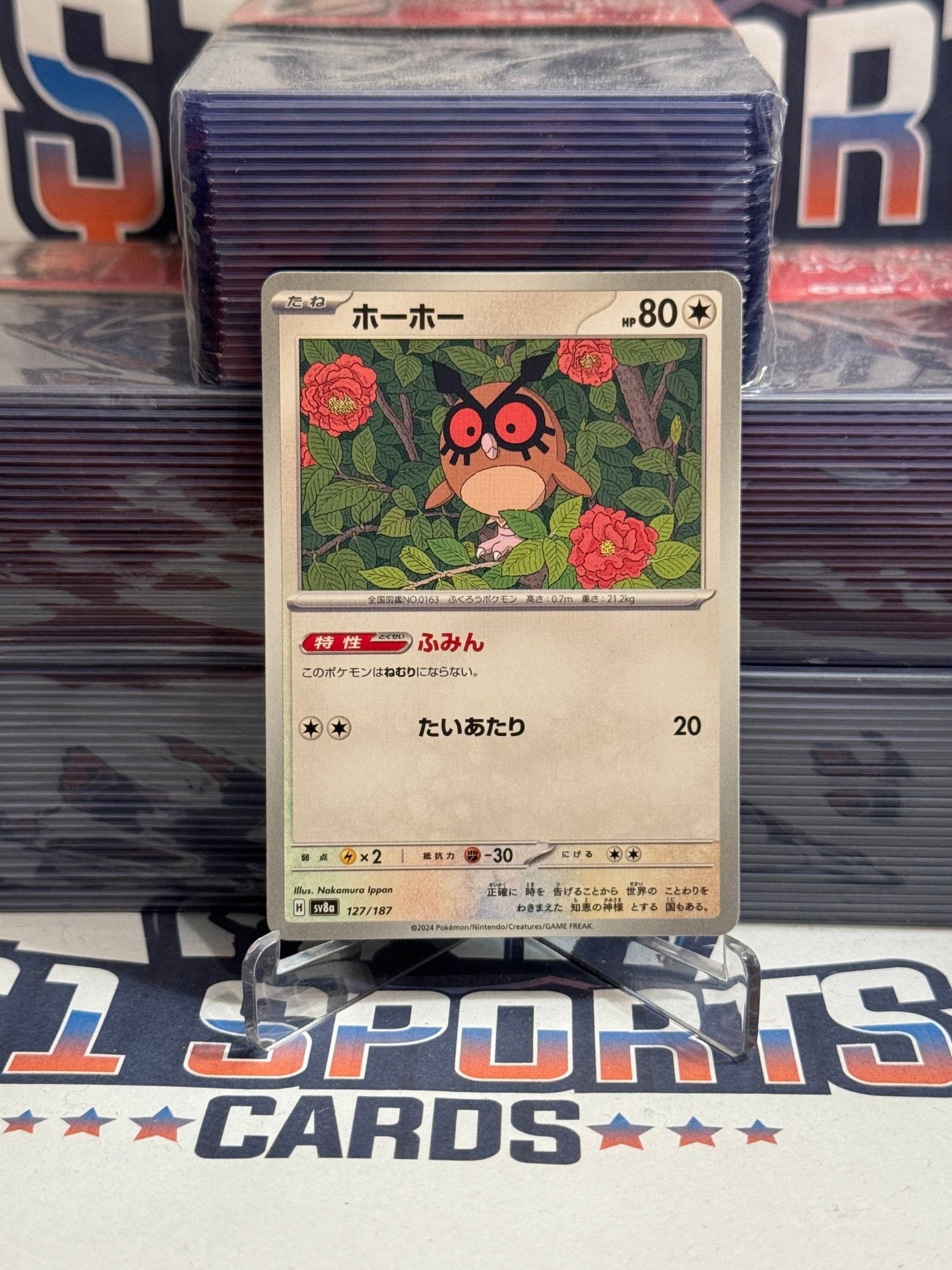 Pokemon TCG: Terastal Festival ex (Japanese) Hoothoot #127