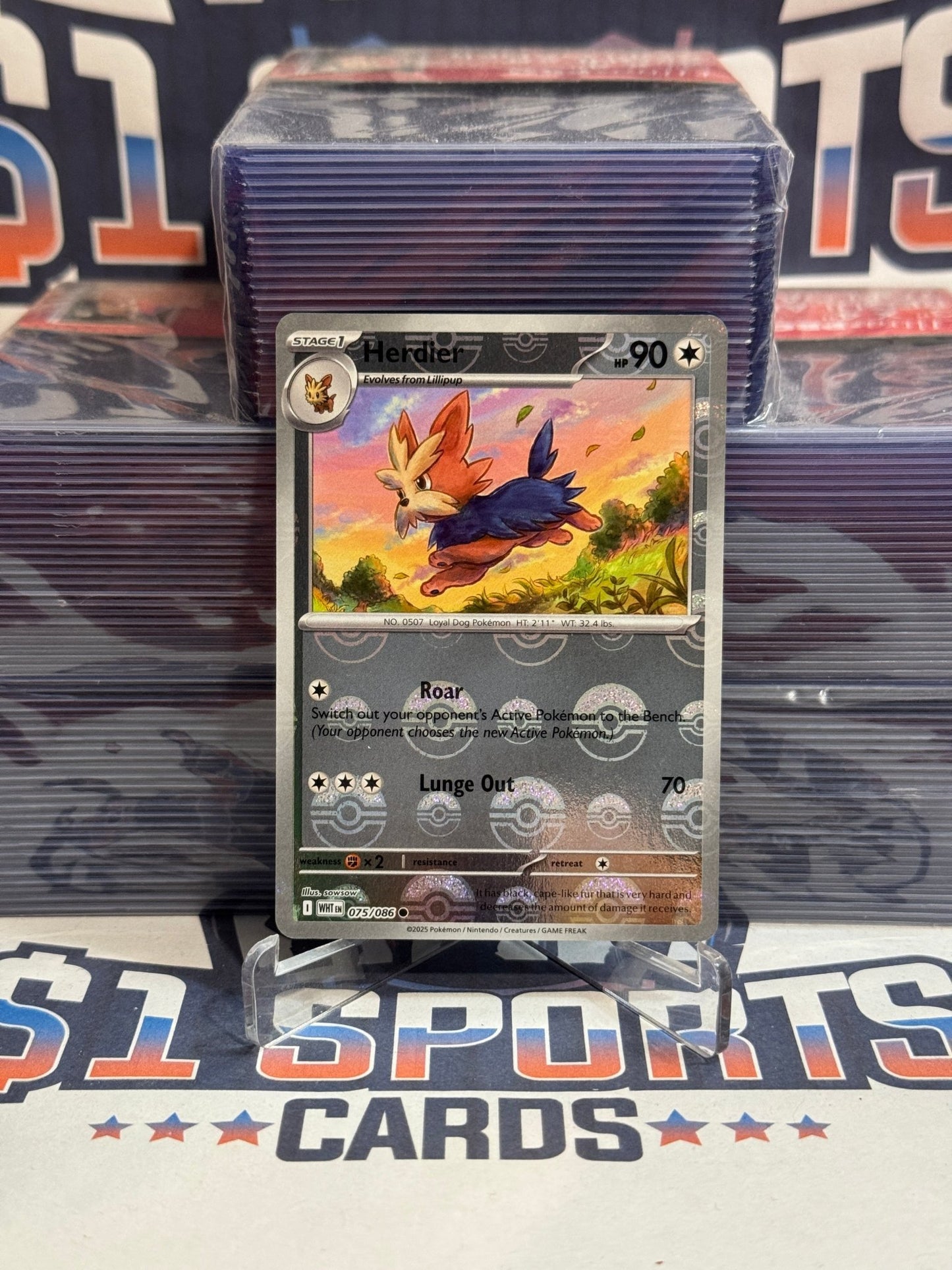 Pokemon TCG: White Flare - Herdier (Poke Ball, Holo) 75