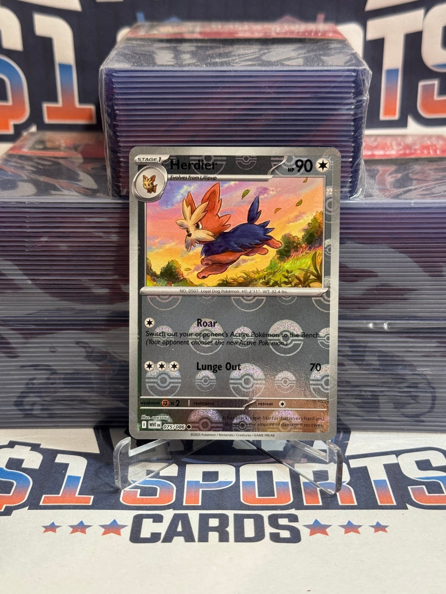Pokemon TCG: White Flare - Herdier (Poke Ball, Holo) 75