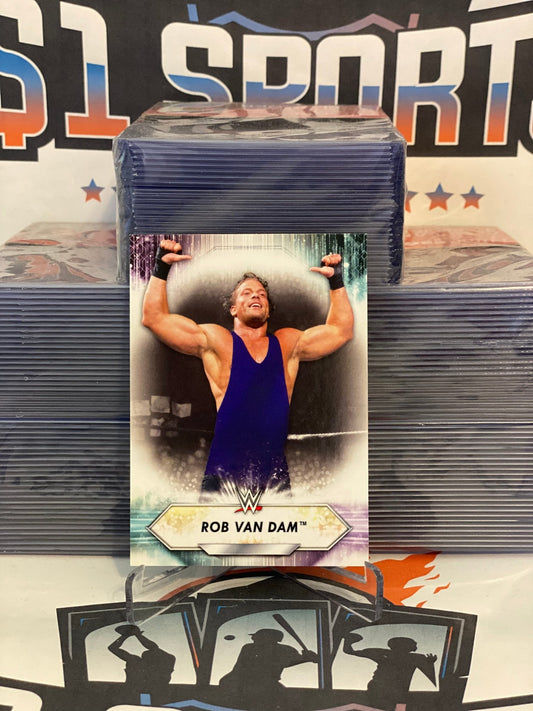 2021 Topps WWE Rob Van Dam #199