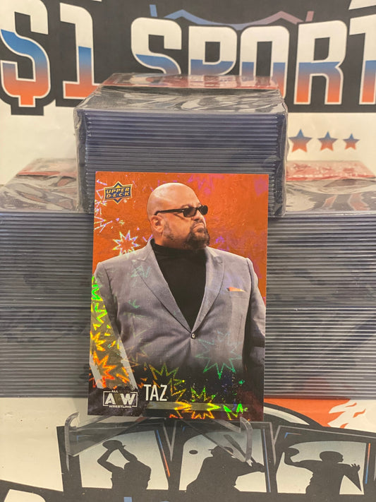 AEW Trading Cards – $1 Sports Cards