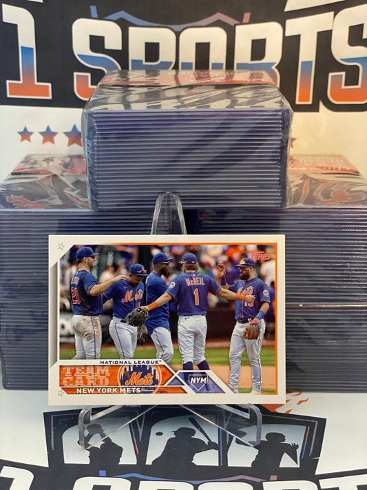2023 Topps (New York Mets Team Card) Pete Alonso #291