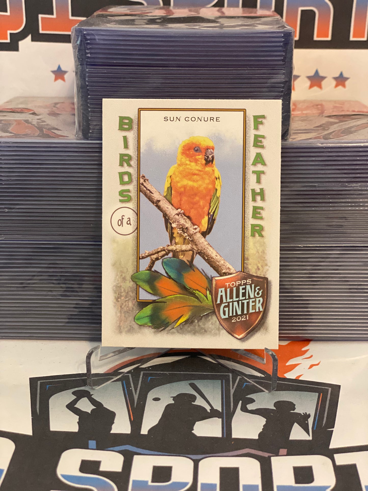 2021 Topps Allen & Ginter (Birds of a Feather) Sun Conure #BOF-2