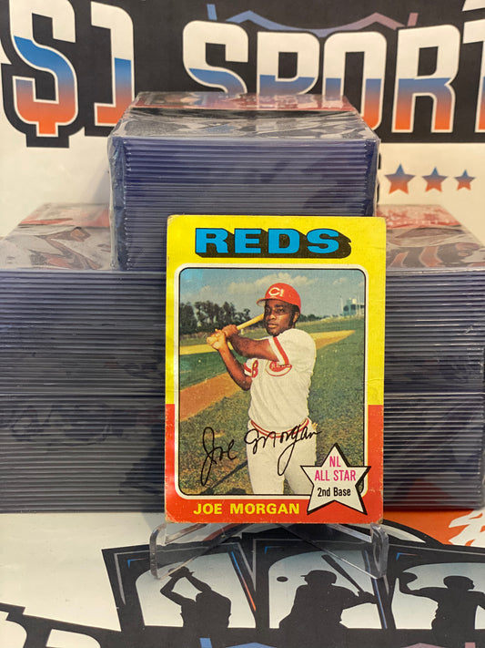 Chris Sabo autographed baseball card (Cincinnati Reds) 1989 Fleer #170