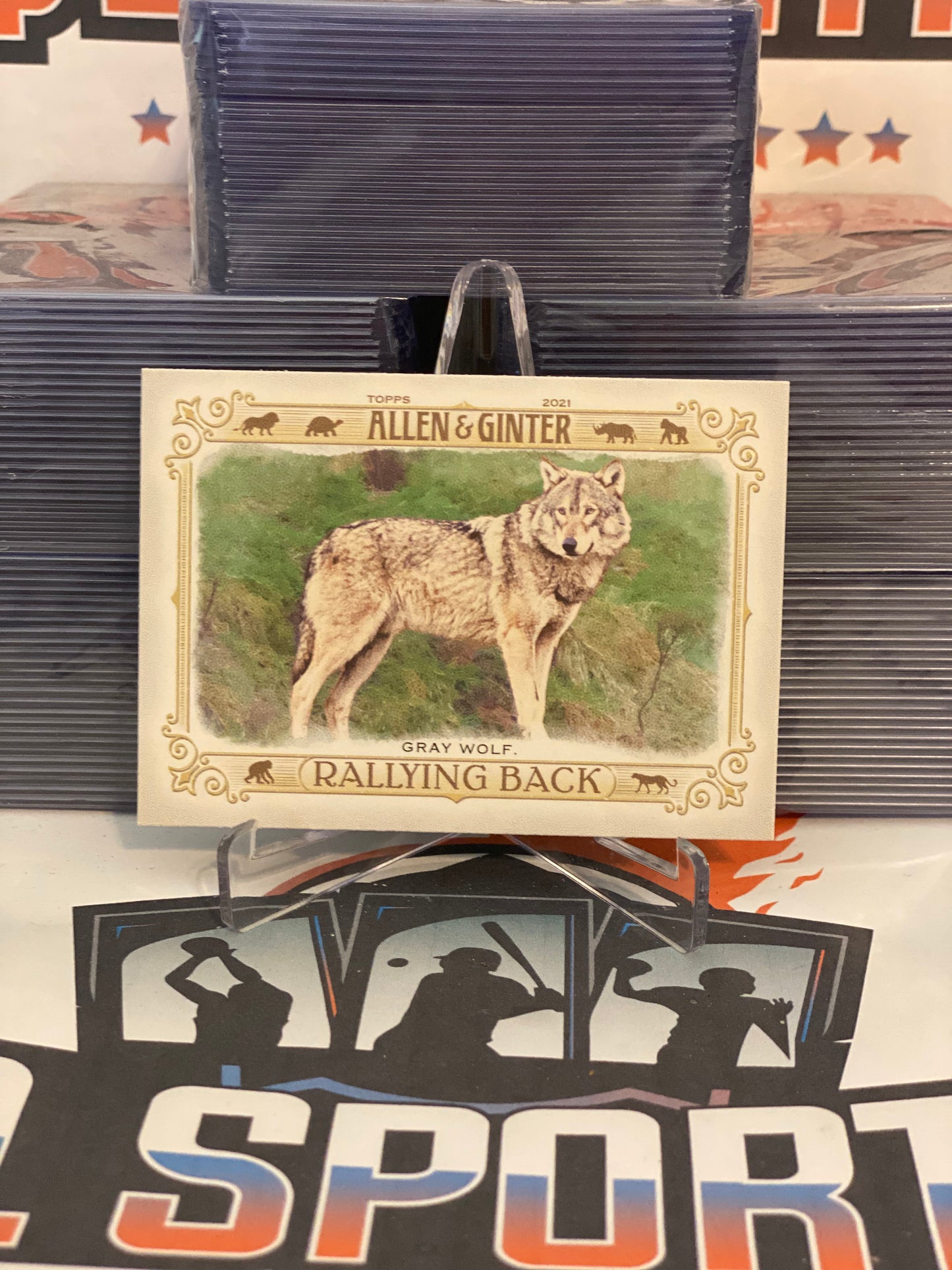 2021 Topps Allen & Ginter (Rallying Back) Gray Wolf #RB-1