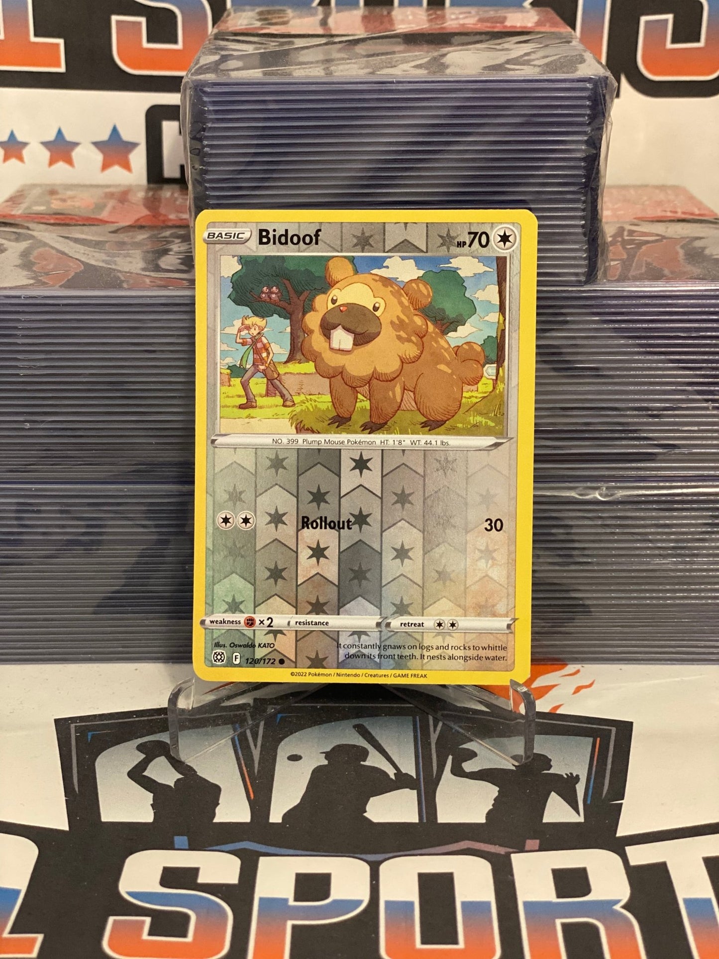 Pokemon TCG: Brilliant Stars - Bidoof (Holo, Common) #120