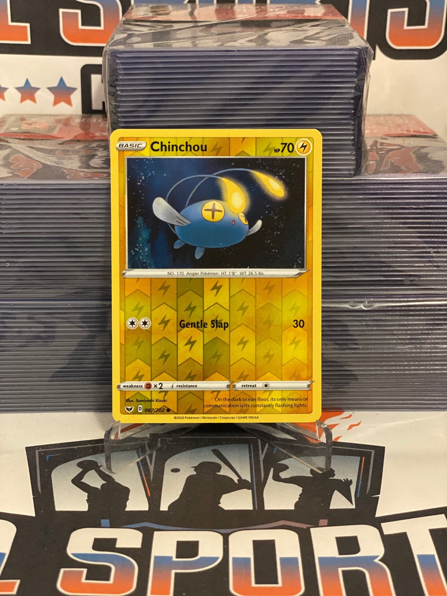 Pokemon TCG: Sword & Shield - Chinchou (Holo, Common) #67